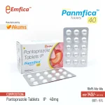 Panmfica 40